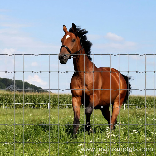 Knot Fixed-knot Game Field Fence